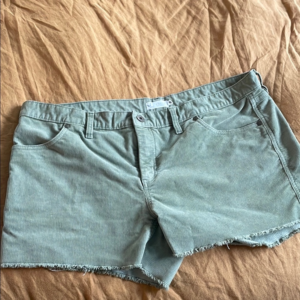 Carve Design Oahu 4” Shorts Size 14